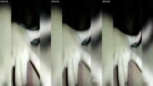 Bokep Gadis Cantik Manado Colmek 6